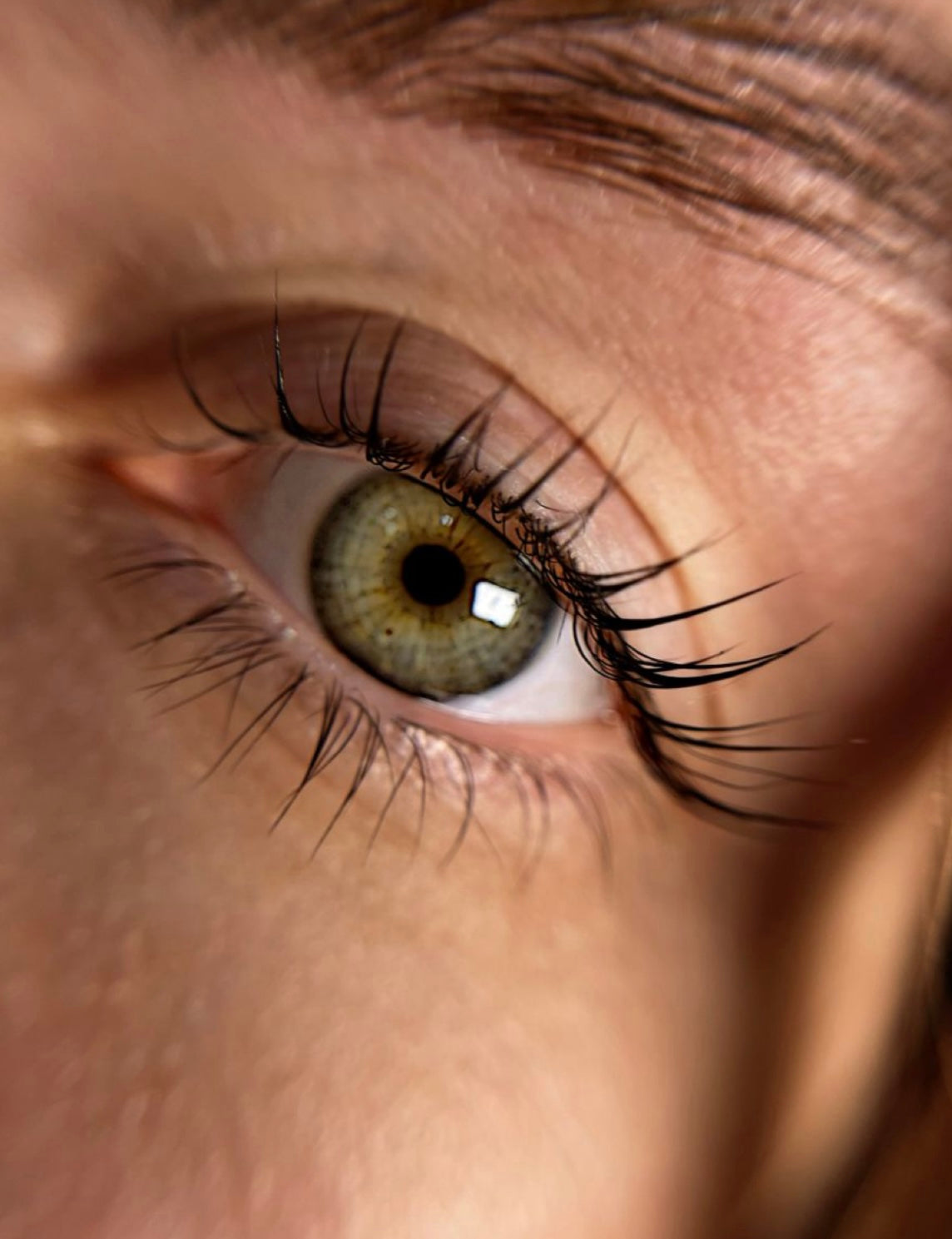 Lash Tinting + Lash Lamination